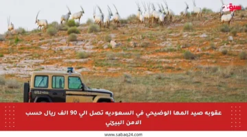 عقوبة صيد المها الوضيحي في السعودية تصل إلى 90 ألف ريال حسب الأمن البيئي